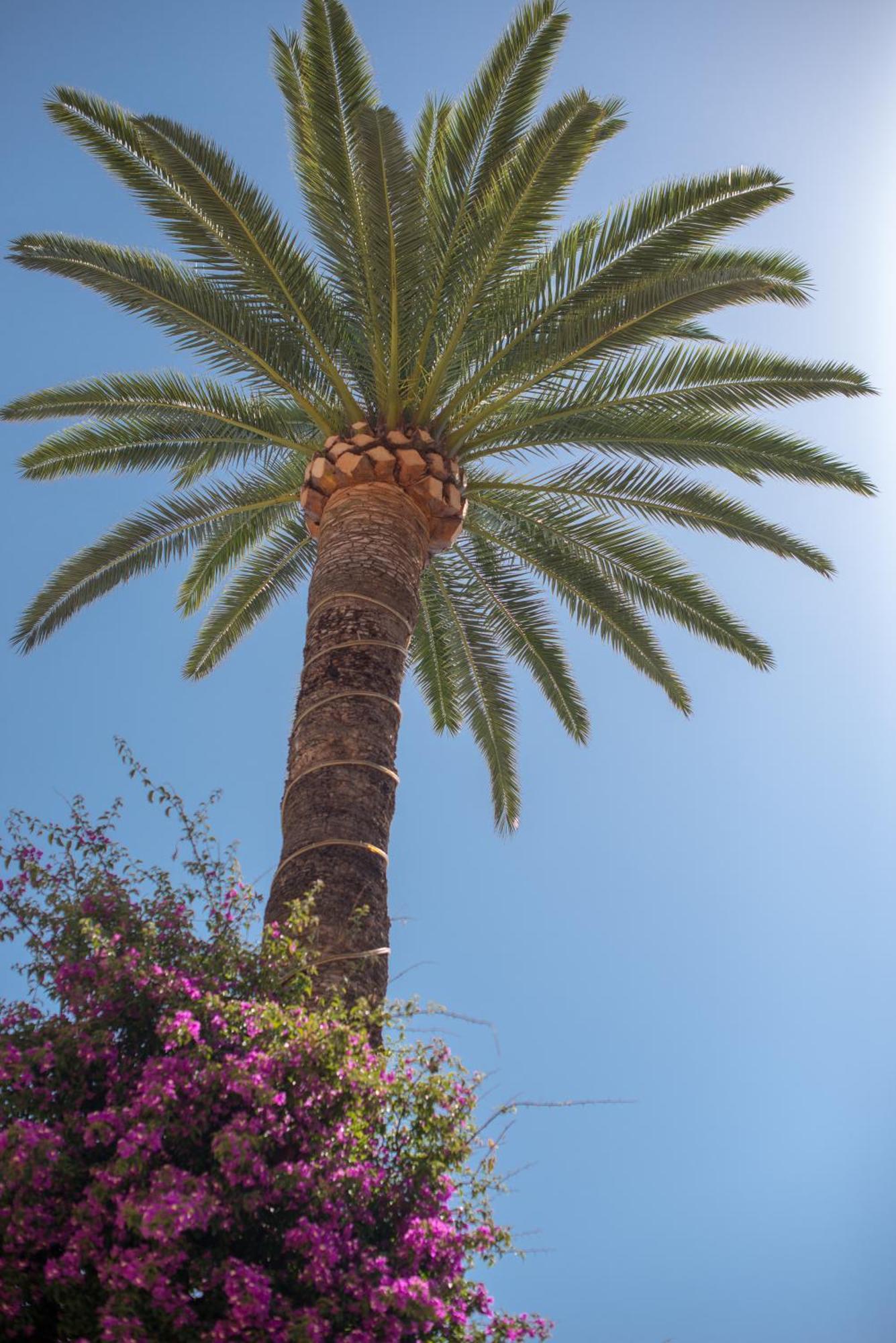 Hotel Et Appartements Reine D'Azur Roquebrune-Cap-Martin Exterior photo